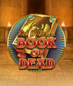 Embark on the thrilling world of Book of Dead Slot by Play'n GO, showcasing vivid graphics of Rich Wilde’s adventurous journey through ancient Egyptian tombs and artifacts. Find lost riches with captivating mechanics like free spins, expanding symbols, and a gamble option. Ideal for adventure enthusiasts with a desire for exciting finds.